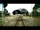 Toyota Yaris - Glitch