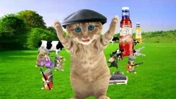 Crusha_Kittens_launch