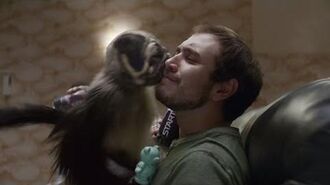 Puppy_monkey_baby_best_2017_clip_by_rob