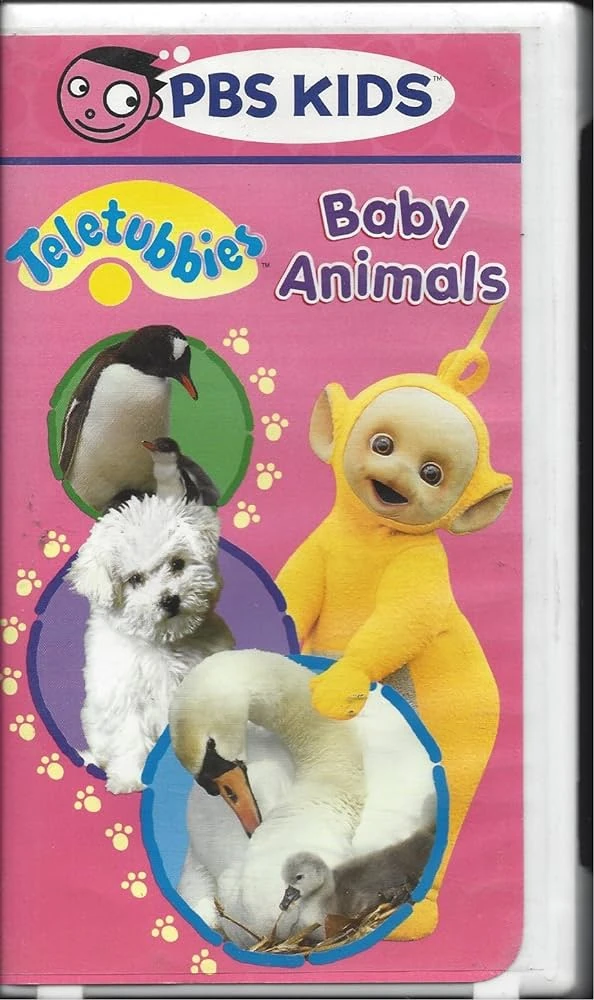Opening and Closing to Teletubbies Baby Animals (2001 Warner Home