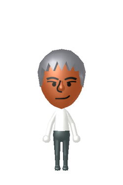 Asami-Chika (Wii Sports Resort) | My CPU Miis Wikia | Fandom