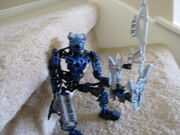 IMG 0882