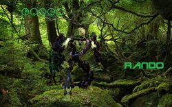 Rando jungle pic