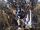 Fulgurite