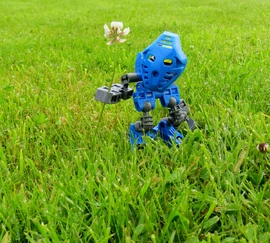 Connla in the outskirts of her village.