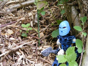 Her Last Breath 2 and Bionicle Warfare 3 016