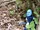 Mirtah