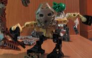 Pakri in set form.