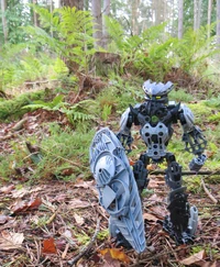 Sonitous Rural Adventure 03