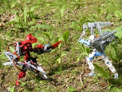 Ihu battling Ozarii in the Great Forest