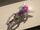 Gairon's Hoverboard.JPG