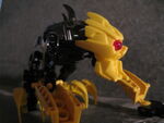 TR-Canjar-A02