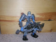 Crucedus (Before Aurunium)