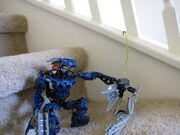 IMG 0885