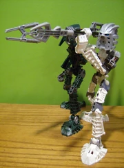 We must focus on our unity...