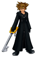 Xatrus, Sora's REAL nobody, separated from Roxas.