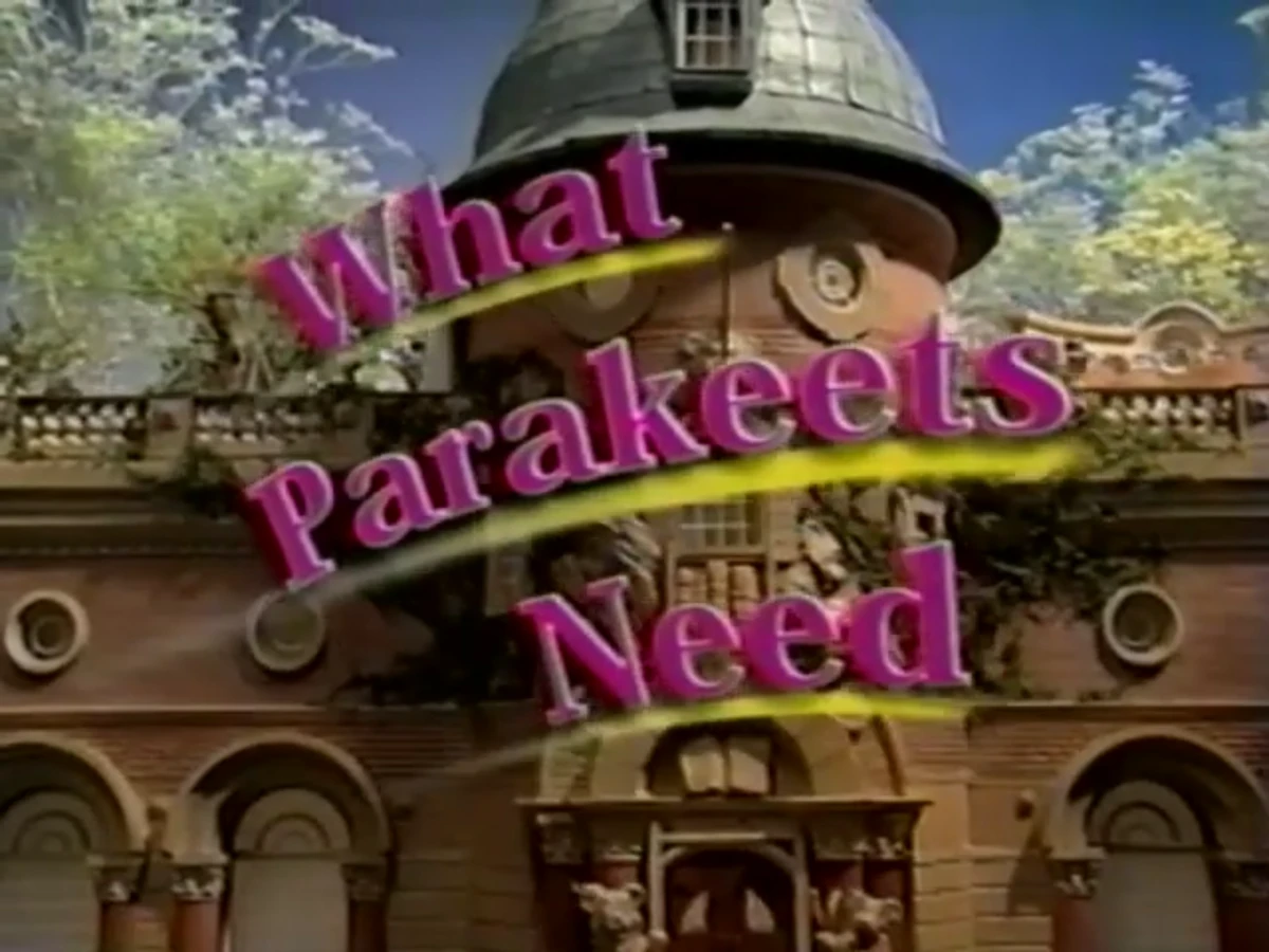 Opening and Closing to Between the Lions What Parakeets Need (2005