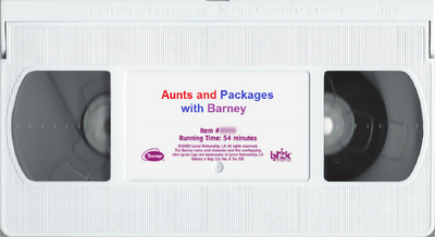 Opening and Closing to Barney: Aunts and Packages with Barney 2000 VHS ...