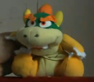 Bowser in 'Evil Prevails?'