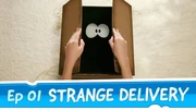 Strange Delivery (Previous)