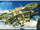 AVATAR -Scorpion Gunship-