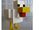 Minecraft Chicken