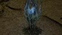 T Archives081 UI.png