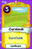 Landscapes-Cornfields