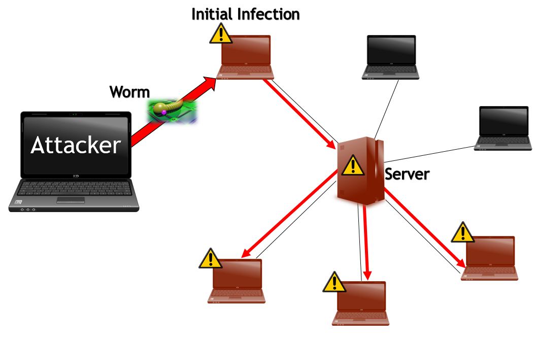 computer worm diagram