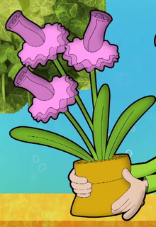 Tutulip close up.png