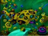 Discardia2.jpg
