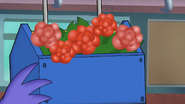 S12E04 Digit hangs red flowers in a repurposed toolbox