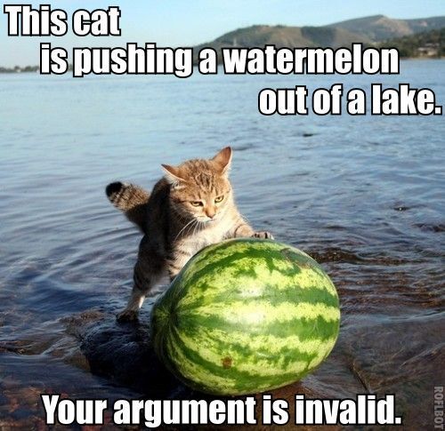 https://static.wikia.nocookie.net/cybercultures/images/5/50/Cat_Pushing_Watermelon_Out_of_lake.jpg/revision/latest/scale-to-width-down/500?cb=20120127073958