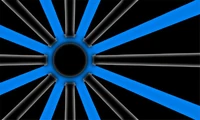 Carpe Diem Official Flag