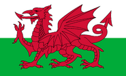 Custom Flag #26: Flag of Wales