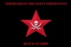 Flag of the LSF