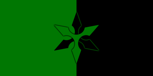 spartan war flag