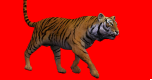 Custom Flag #32: Used to show /b/'s flag but was changed to a tiger for some reason. Referred as the Awesome Tiger flag by Admin.