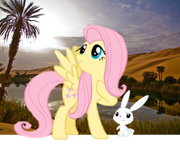 Fluttershy