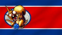 NNK War Flag