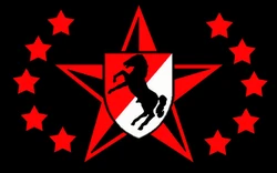 Blackhorse Official Flag