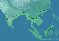 Location of Grand Besaid