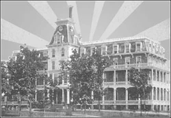 Sanitarium Official Flag