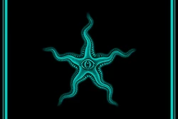 Voluspa Official Flag