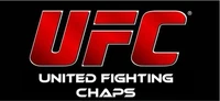 UFC Official Flag