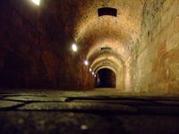 Tunnel auf der Kaiserburg-5750