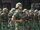 MexicanArmyMarch.jpg