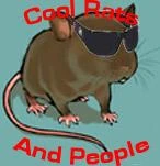 CRAPflag.jpg (5 KB) Former Flag of Cool Rats And People