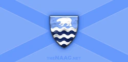 NAAC Official Flag