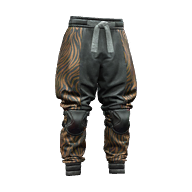 V's pants, Cyberpunk Wiki